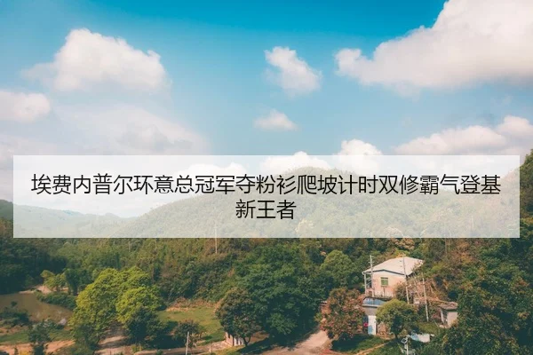 ai-fei-nei-pu-er-huan-yi-zong-guan-jun-duo-fen-shan-pa-po-ji-shi-shuang-xiu-ba-qi-deng-ji-xin-wang-zhe-2-665.jpg